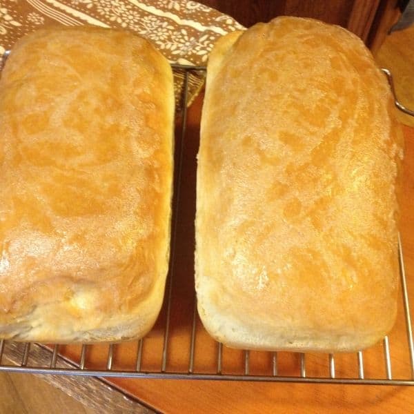 sourdough bread loaves