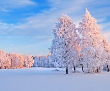 winter scene in winterizing your homestead