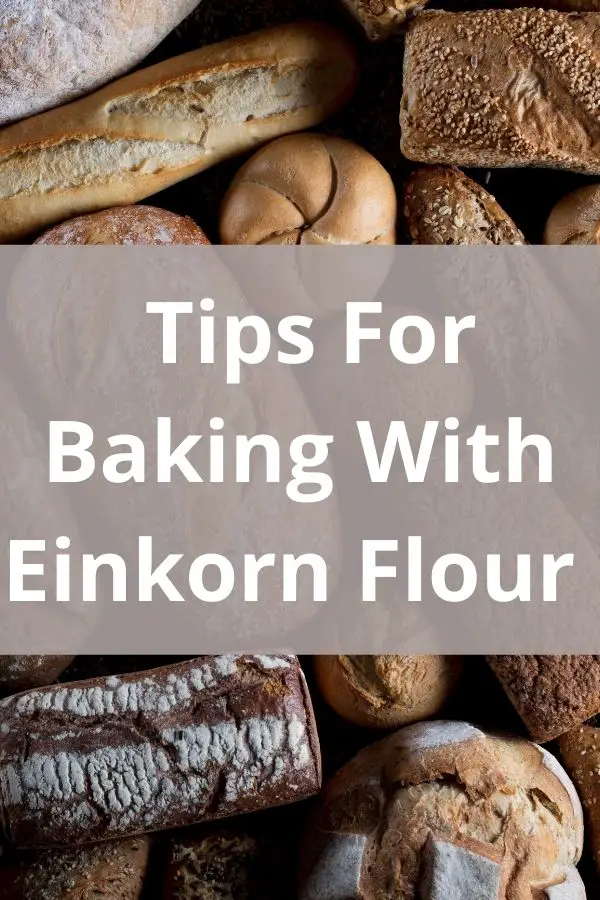 einkorn bread loaves for baking with einkorn flour