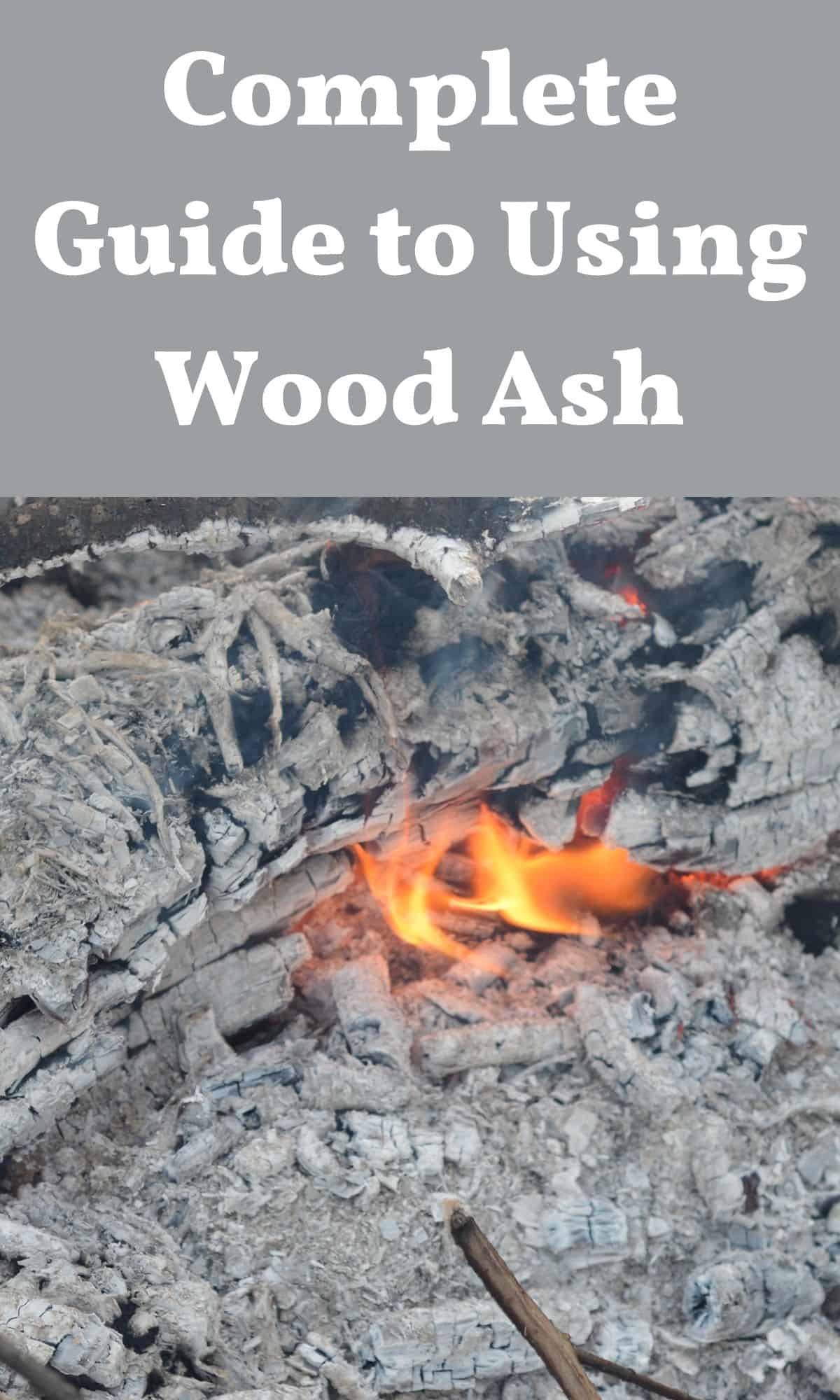 wood burning into wood ash
