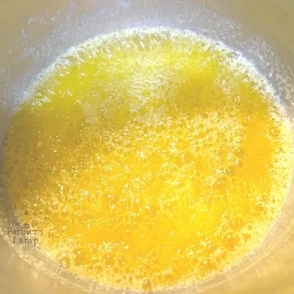clarified butter in instant pot