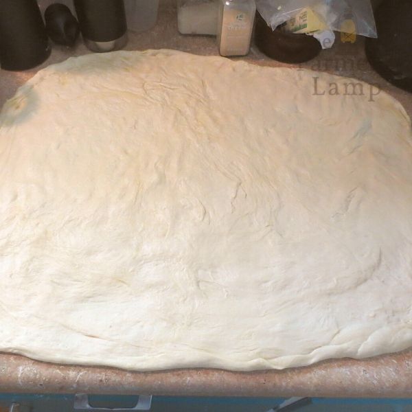 round pizza dough crust