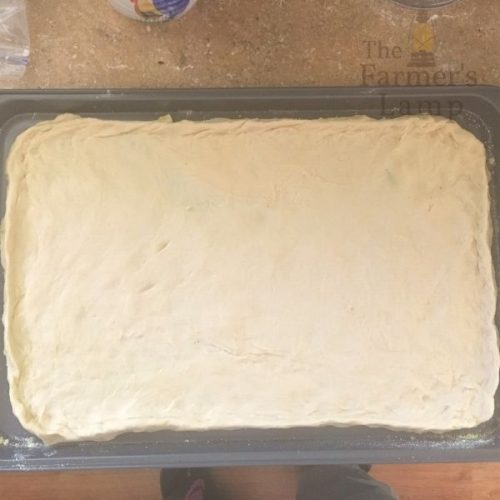 Quick And Easy Einkorn Pizza Dough Recipe • The Farmer's Lamp