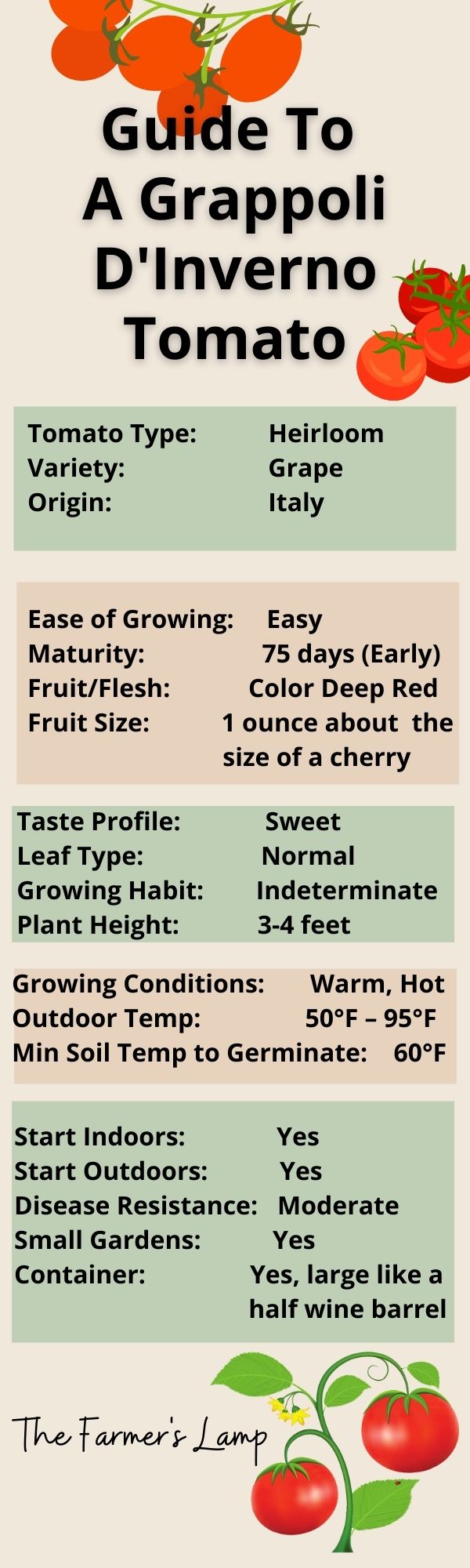 Infographic for details of A Grappoli D'Inverno tomato