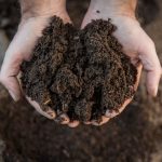 How To Make The Best Compost For Vegetable Gardens • The Farmer's Lamp