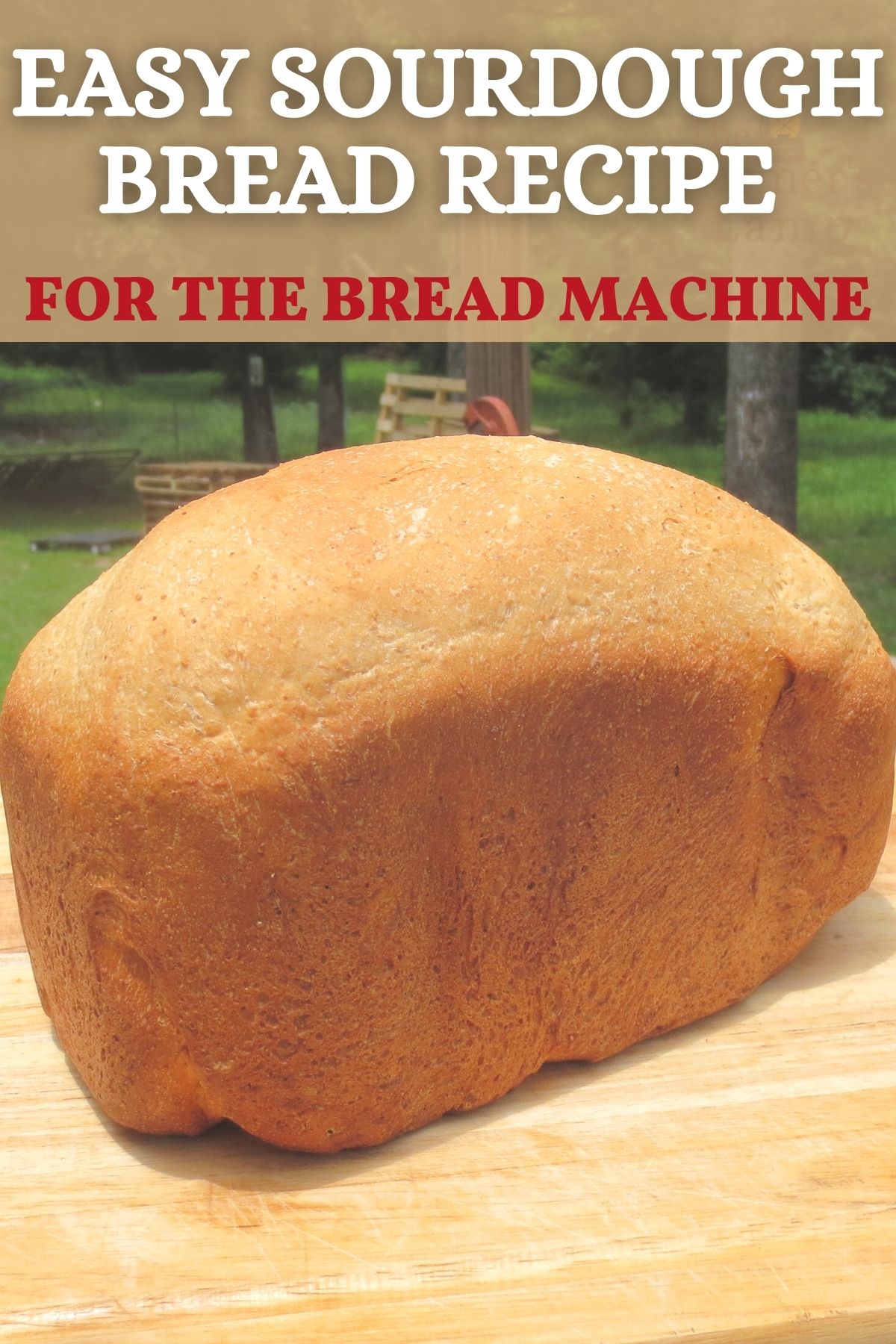 sourdough bread recipe for the bread machine PIN