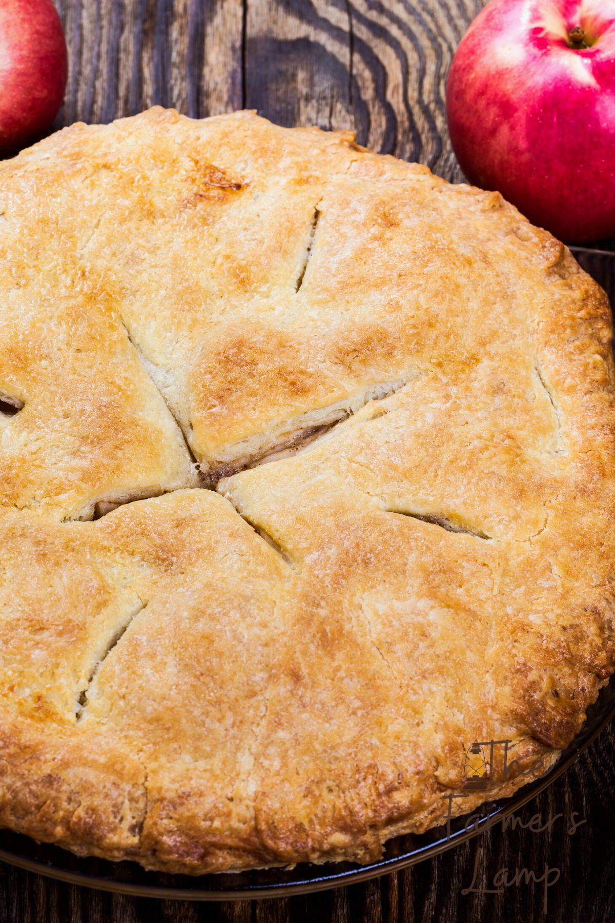 pie with top crust