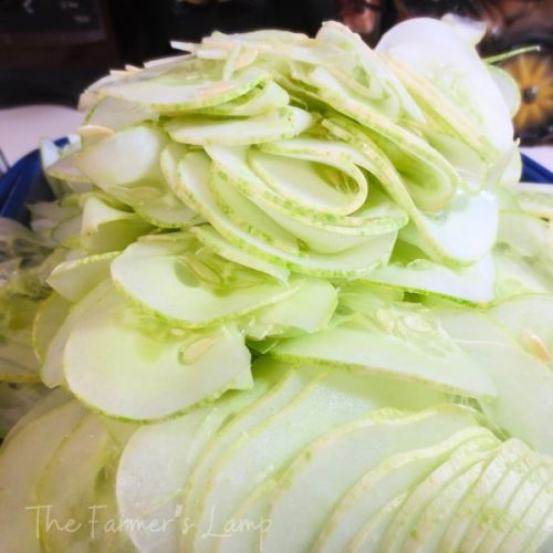 cucumbers sliced paper thin for making icebox pickles