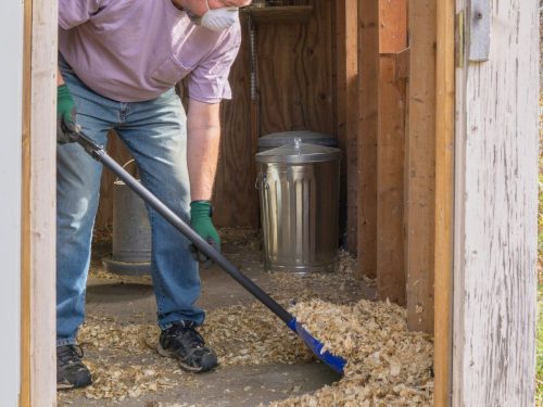 Chicken Mites: How To Recognize, Treat, And Prevent Them
