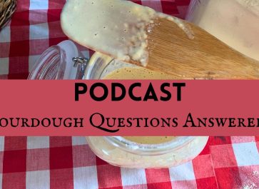 sourdough starter on a red and white checkered tablecloth with words written on it that read podcast sourdough questions answered