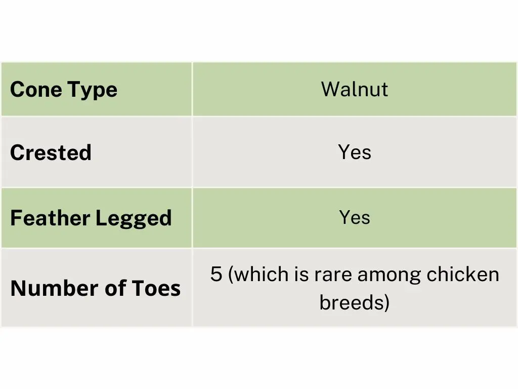 chart showing features of blule silkie chickens