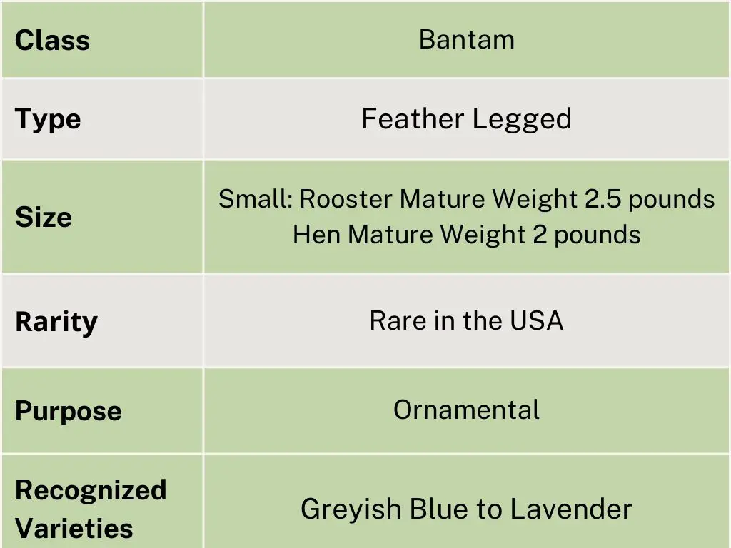 chart showing the class type size, rarity, purpose and recognized varieties of blue silkie chickens it says bantam, feather legged small, rare in usa, ornamental, greyish blue to lavender 