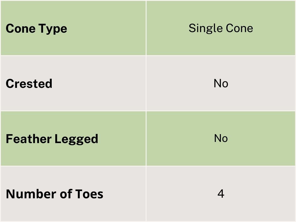 features chart for orpington chickens for cone type as single crested no feather legged no number of toes 4